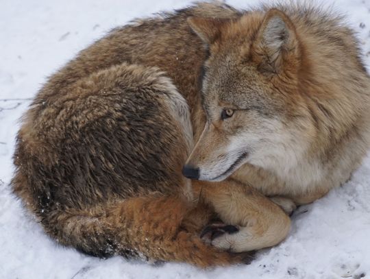 Pogoda na piątek. Sprawdź, jaka aura nas czeka