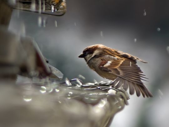Pogoda na piątek. Sprawdź, jaka aura nas czeka