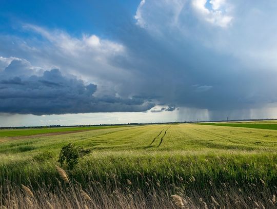 Pogoda na piątek. Sprawdź, jaka aura nas czeka