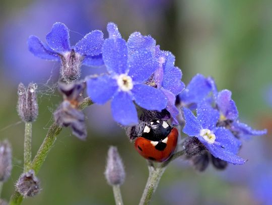 Pogoda na piątek. Sprawdź, jaka będzie aura