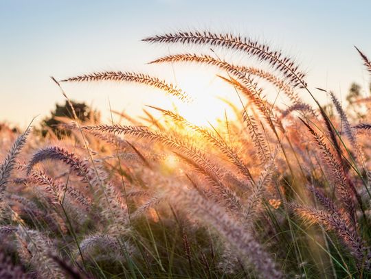 Pogoda na piątek. Sprawdź, jaka będzie aura