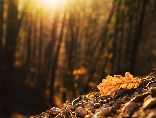 Pogoda na piątek. Sprawdź, jaka będzie aura