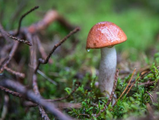 Pogoda na piątek. Sprawdź, jaka będzie aura