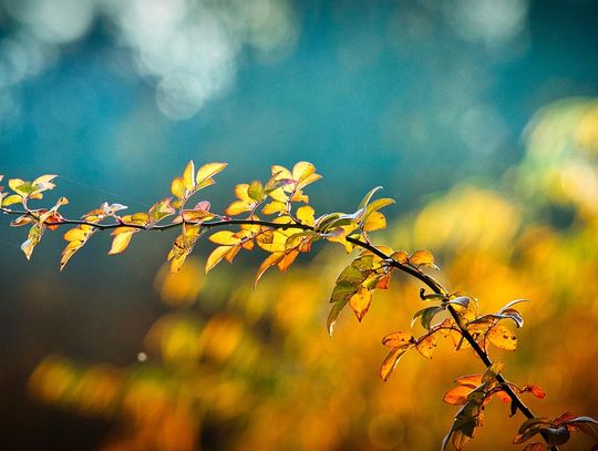 Pogoda na piątek. Sprawdź, jaka będzie aura