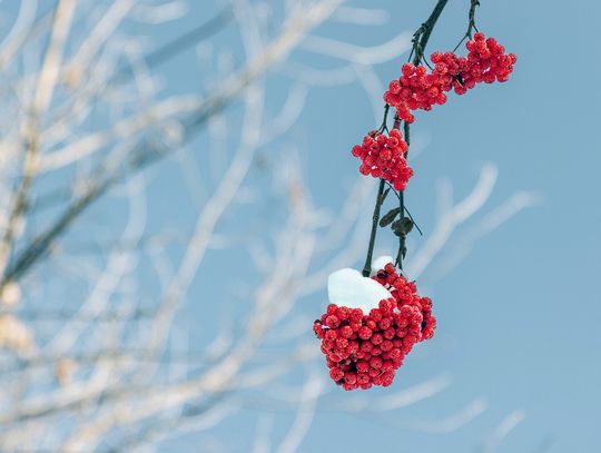 Pogoda na piątek. Sprawdź, jaka będzie aura