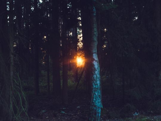 Pogoda na piątek. Sprawdź, jaka będzie aura Pogoda na piątek. Sprawdź, jaka będzie aura