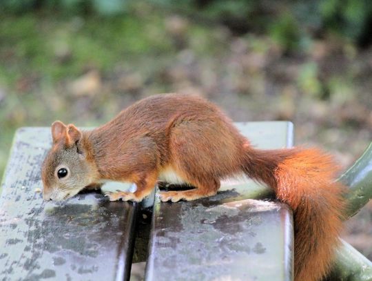 Pogoda na piątek. Sprawdź, jaka będzie aura