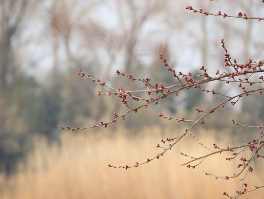 Pogoda na piątek. Sprawdź, jaka będzie aura
