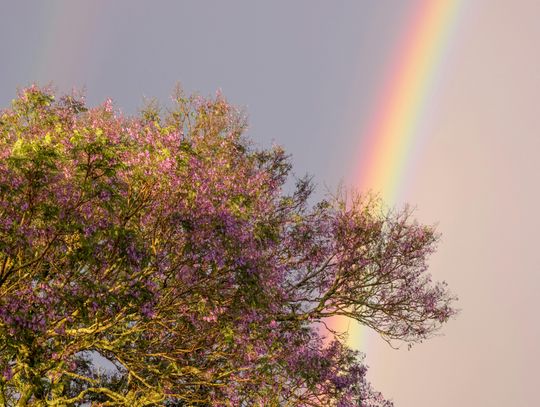 Pogoda na piątek. Sprawdź, jaka będzie aura
