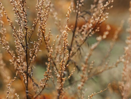 Pogoda na piątek. Sprawdź, jaka będzie aura Pogoda na piątek. Sprawdź, jaka będzie aura