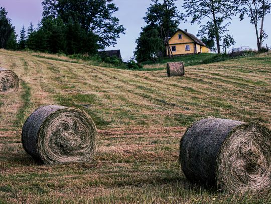 Pogoda na piątek. Sprawdź, jaka będzie aura