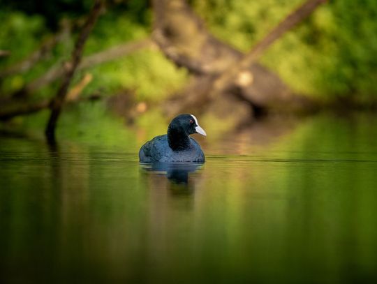 Pogoda na piątek. Sprawdź, jaka będzie aura