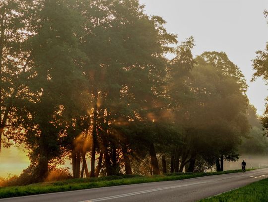 Pogoda na piątek. Sprawdź, jaka będzie jutro aura