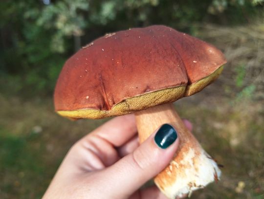 Pogoda na piątek. Sprawdź, jaka będzie jutro aura