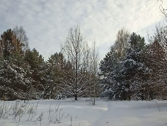 Pogoda na weekend. Sprawdź, jaka będzie aura