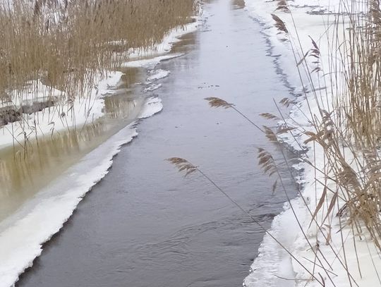 Pogoda na piątek. Sprawdź, jaka będzie jutro aura