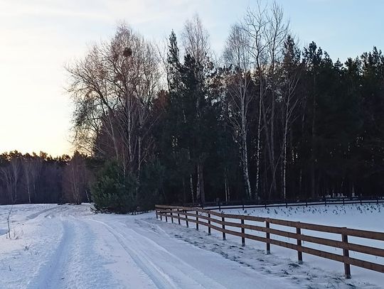 Pogoda na piątek. Sprawdź, jaka będzie jutro aura