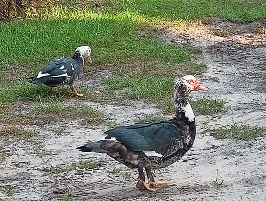 Pogoda na piątek. Sprawdź, jaka będzie jutro aura