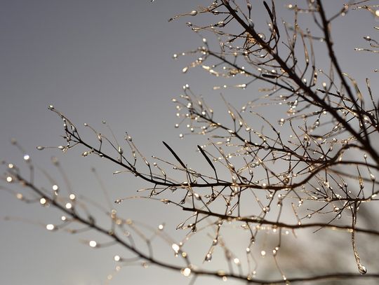 Pogoda na poniedziałek - 27 lutego. Wraca lekki mróz