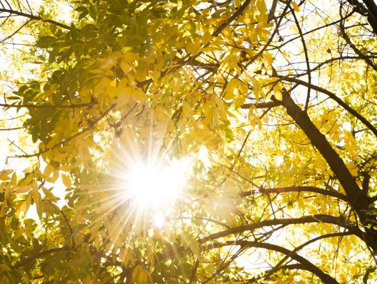 Pogoda na poniedziałek 16 czerwca. Sprawdź jaka czeka nas aura