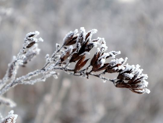 Pogoda na poniedziałek. Sprawdź, jaka aura nas czeka