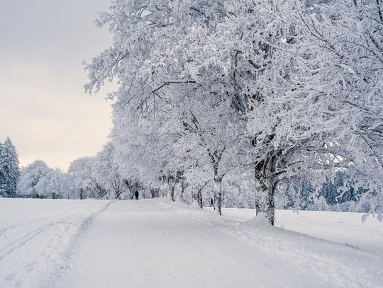 Pogoda na poniedziałek. Sprawdź, jaka aura nas czeka