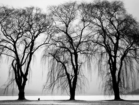 Pogoda na poniedziałek. Sprawdź, jaka aura nas czeka