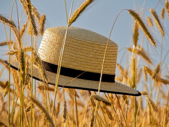 Pogoda na poniedziałek. Sprawdź, jaka aura nas czeka