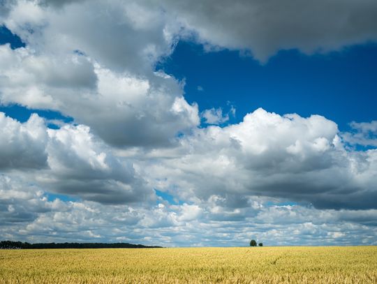 Pogoda na poniedziałek. Sprawdź, jaka czeka nas aura