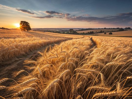 Pogoda na poniedziałek. Sprawdź, jaka będzie aura