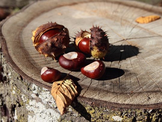 Pogoda na poniedziałek. Sprawdź, jaka będzie aura