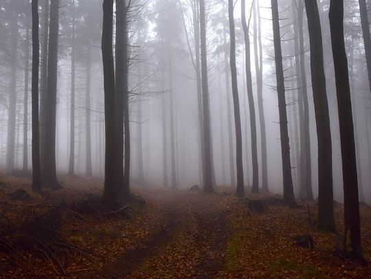 Pogoda na poniedziałek. Sprawdź, jaka będzie aura