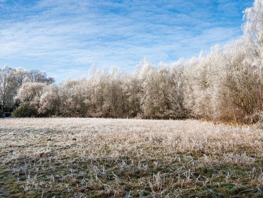 Pogoda na poniedziałek. Sprawdź, jaka będzie aura Pogoda na poniedziałek. Sprawdź, jaka będzie aura