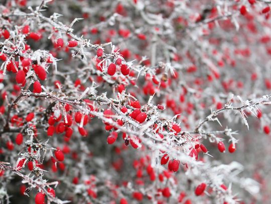 Pogoda na poniedziałek. Sprawdź, jaka będzie aura