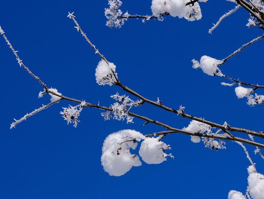 Pogoda na poniedziałek. Sprawdź, jaka będzie aura