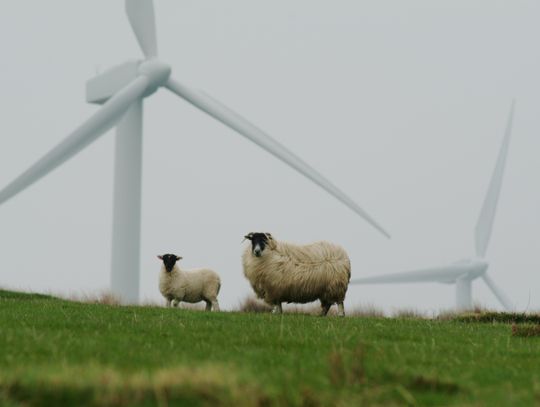 Pogoda na poniedziałek. Sprawdź, jaka będzie aura