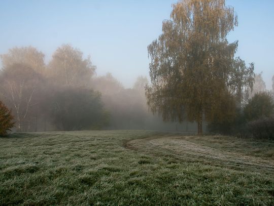 Pogoda na poniedziałek. Sprawdź, jaka będzie aura