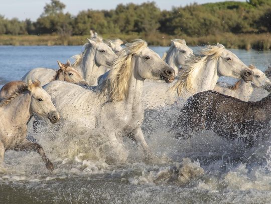 Pogoda na poniedziałek. Sprawdź, jaka będzie jutro aura