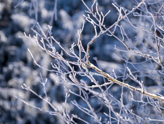 Pogoda na poniedziałek. Sprawdź, jaka będzie jutro aura