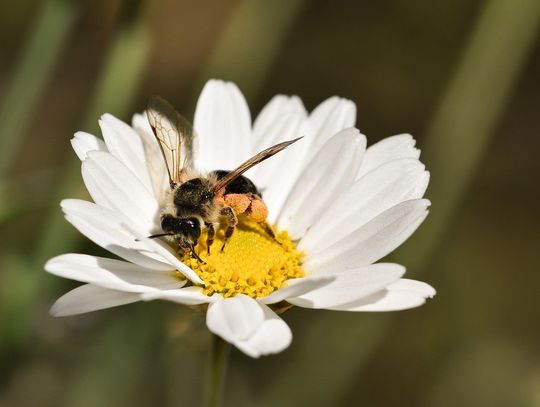 Pogoda na poniedziałek. Sprawdź, jaka będzie jutro aura