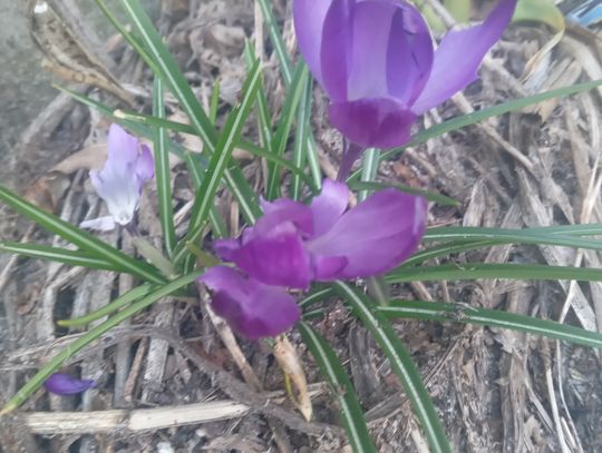 Pogoda na poniedziałek. Sprawdź, jaki będzie początek tygodnia