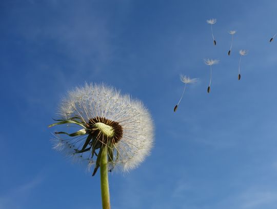 Pogoda na poniedziałek. Sprawdź, jaki będzie początek tygodnia