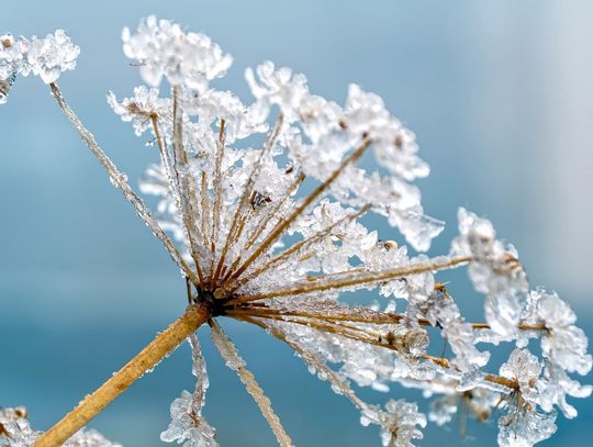 Pogoda na środę. Sprawdź, jaka będzie aura