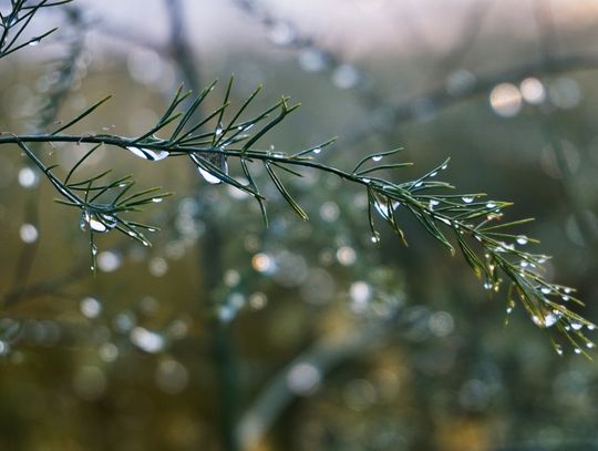 Pogoda na środę 15 marca. Wraca znaczne ochłodzenie