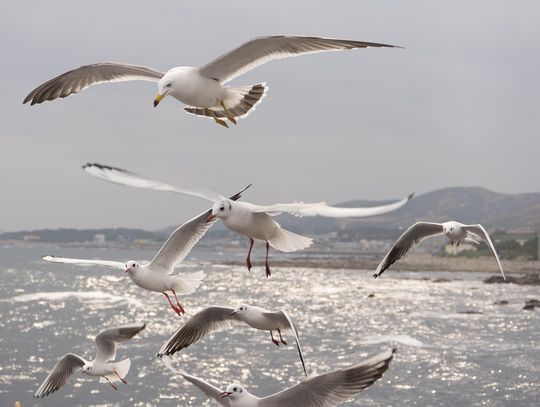 Pogoda na środę. Przedsmak nadchodzącej fali upałów