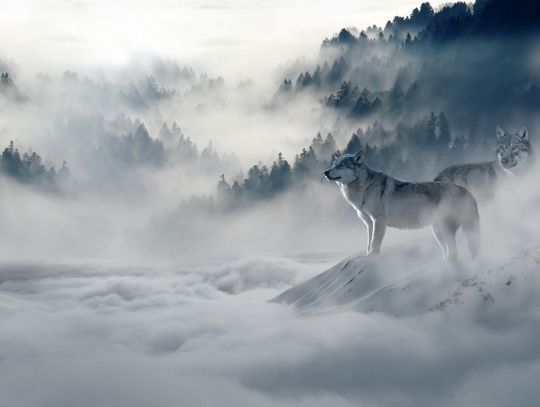 Pogoda na środę. Sprawdź, jaka aura nas czeka
