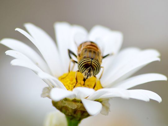Pogoda na środę. Sprawdź, jaka będzie aura