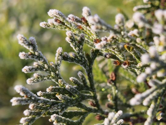 Pogoda na środę Sprawdź, jaka będzie aura
