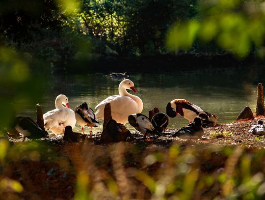 Pogoda na środę. Sprawdź, jaka będzie aura