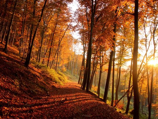 Pogoda na środę. Sprawdź, jaka będzie aura